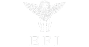 EFI logo